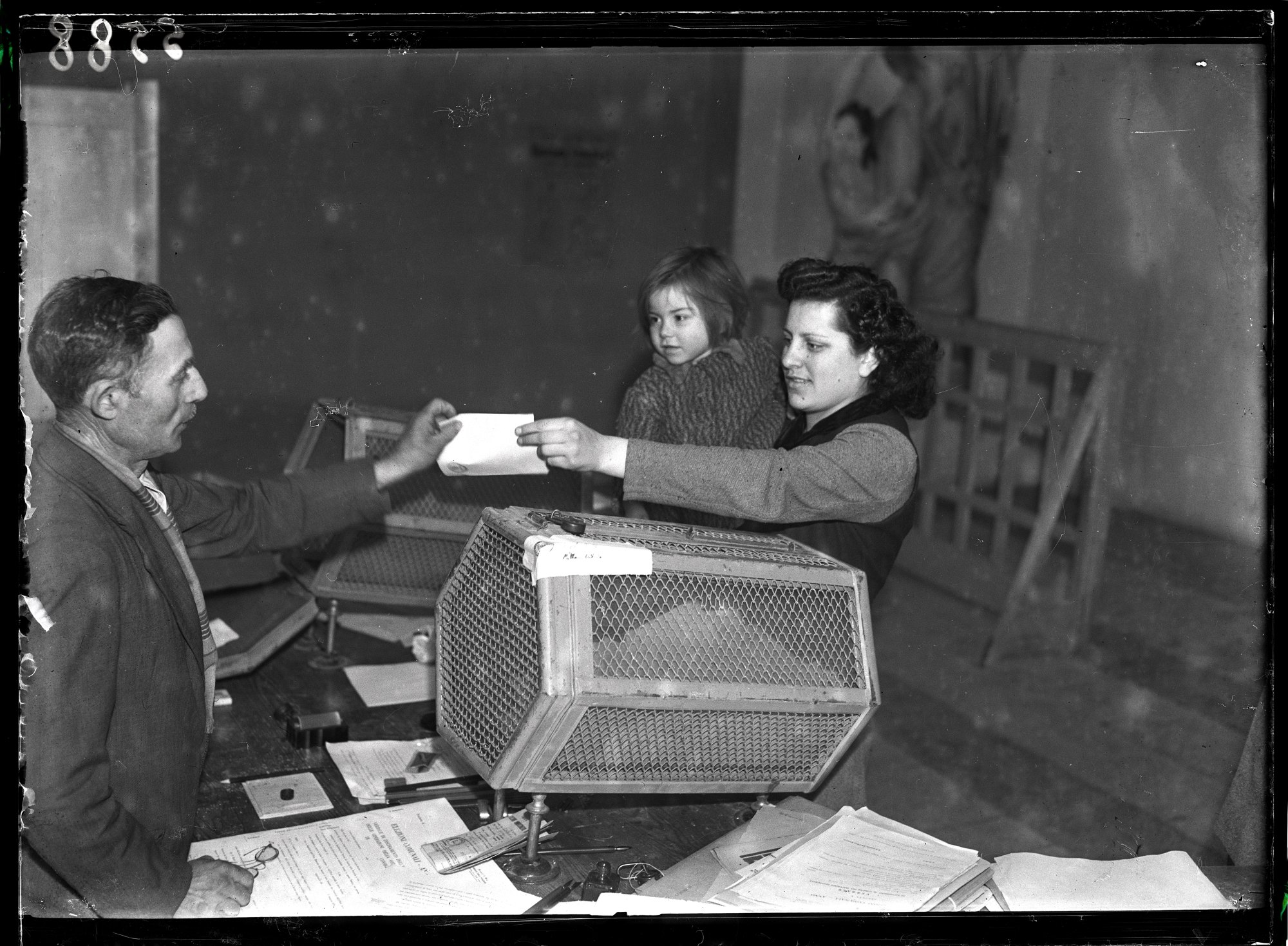 Una donna, con un bambino in braccio, consegna il certificato elettorale al seggio in occasione delle elezioni comunali nel Lodigiano, le prime elezioni a suffragio universale in Italia, 17 marzo 1946  Fotografia di Publifoto 
