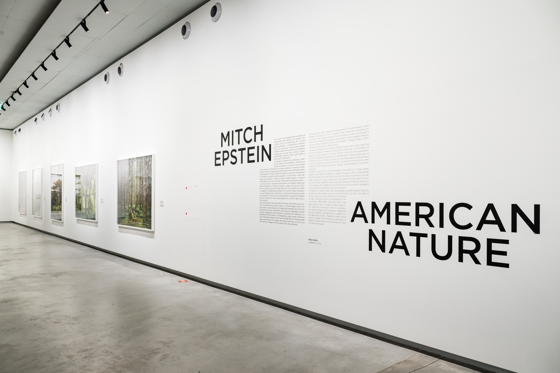 "Mitch Epstein - American nature" foto allestimento mostra a Torino