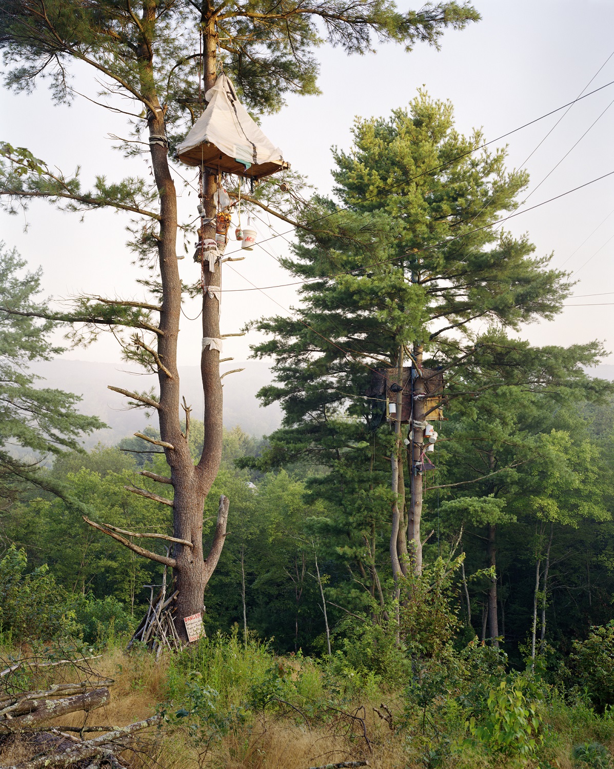 Mitch Epstein foto - Tree-Sits, Camp White Pine, Huntingdon County, Pennsylvania 2017