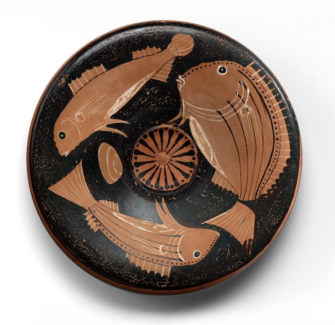 Fish-plate