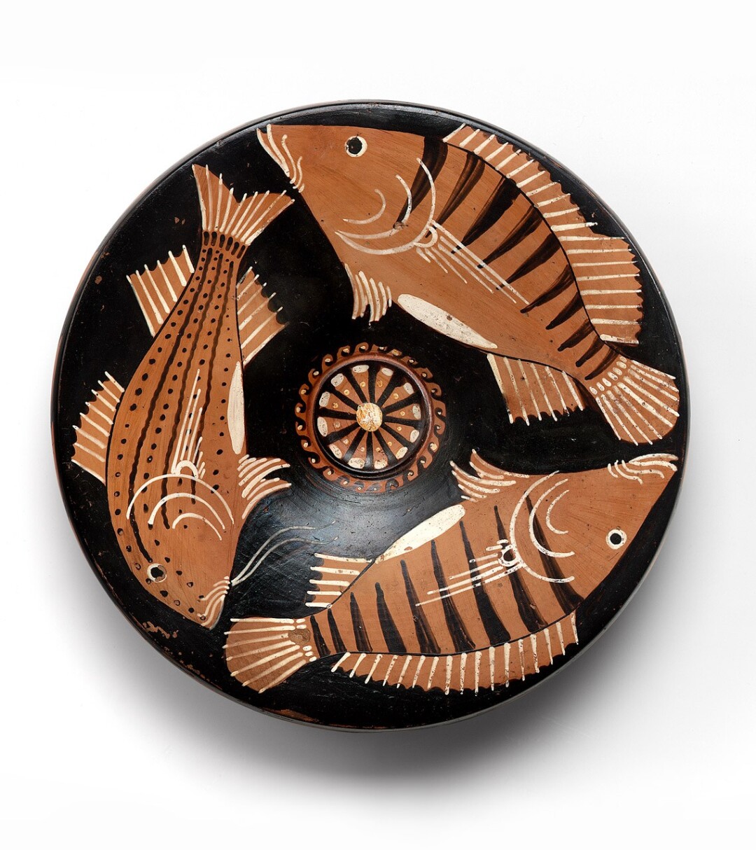Fish-plate