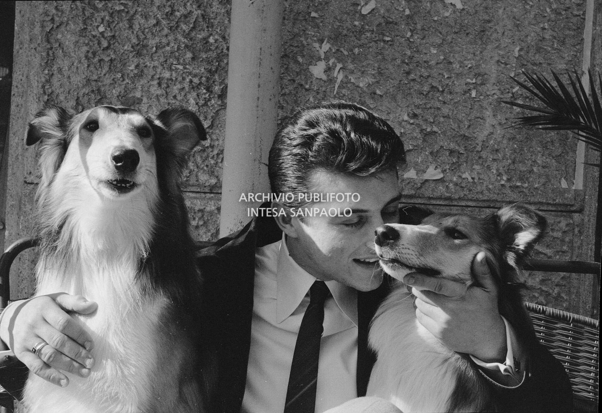 Tony Renis ritratto con due cani Collie nei giorni del XII Festival di Sanremo