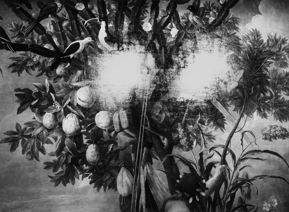 Natura, Opera 12, Marsiglia 1987 © Mimmo Jodice