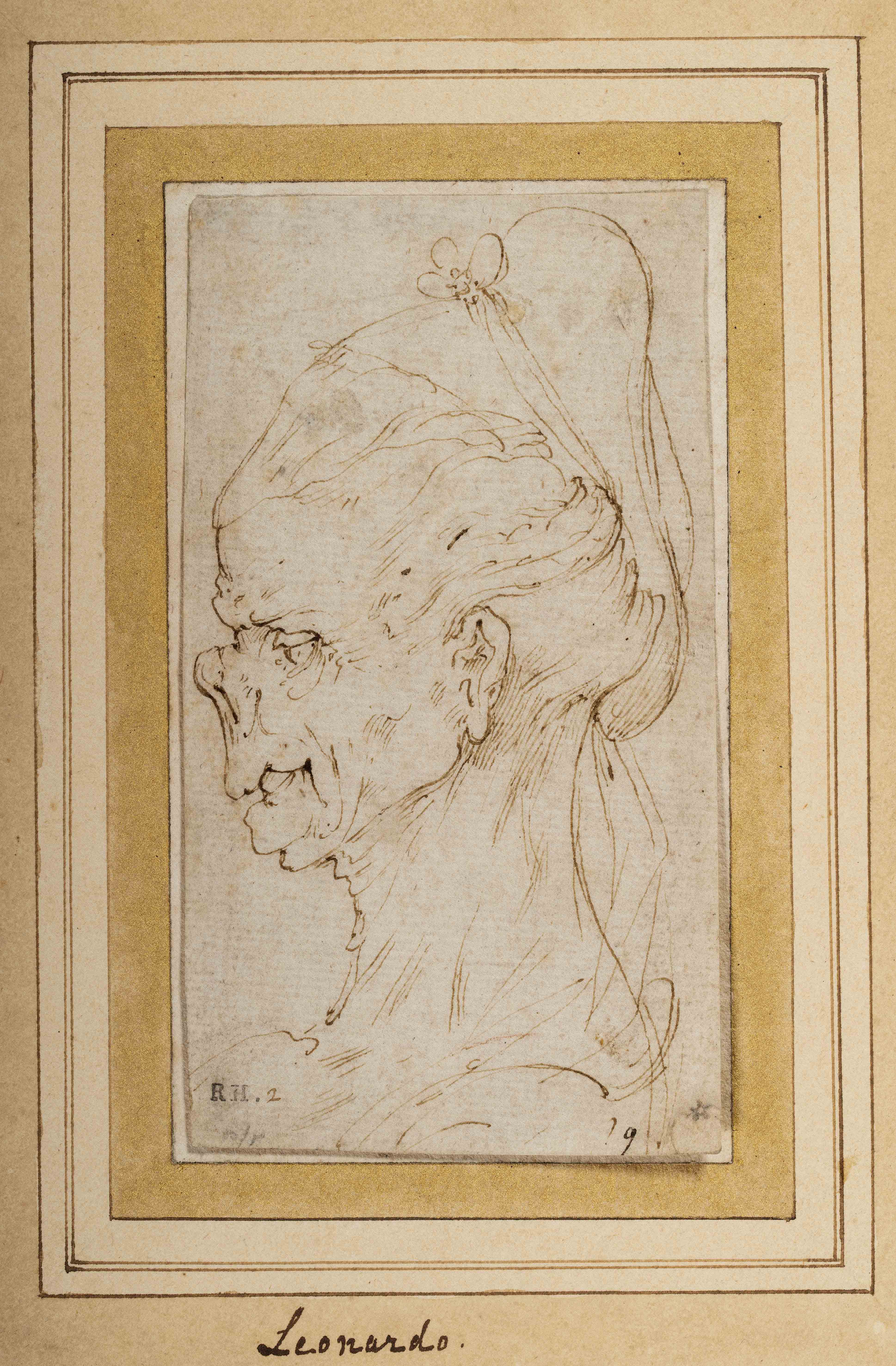 Leonardo da Vinci, attribuito a, Testa grottesca di donna di profilo verso sinistra