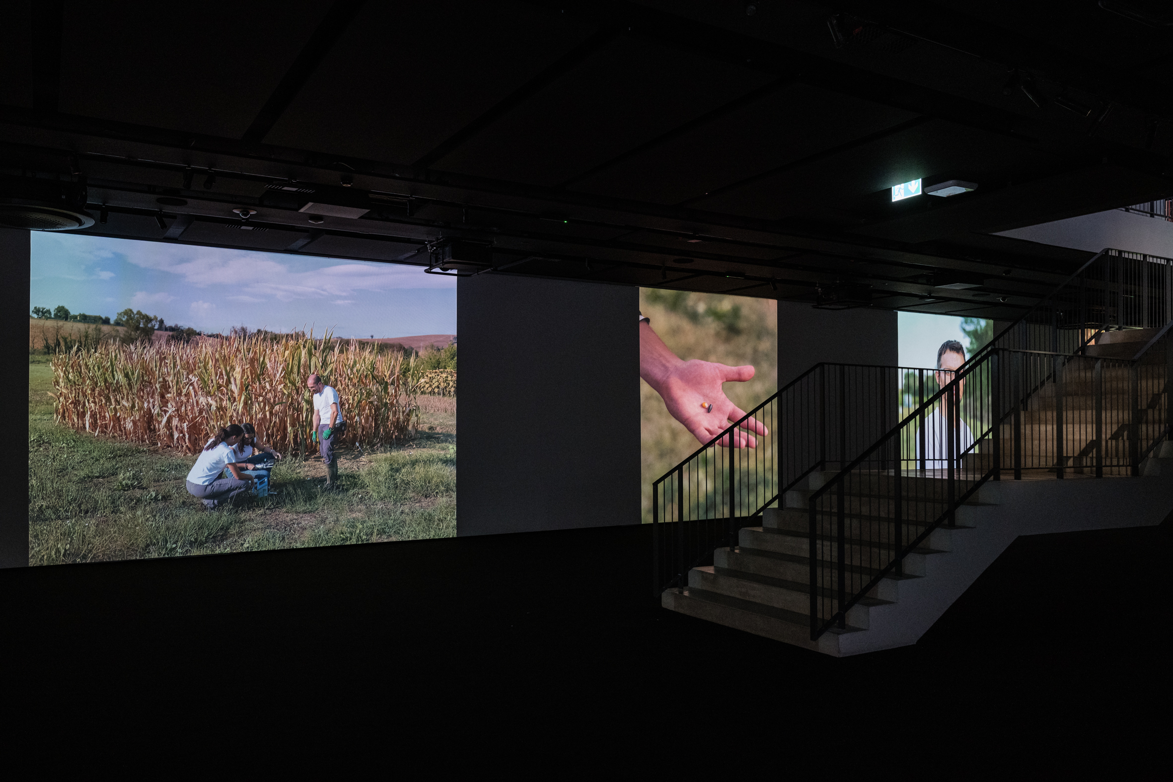 Fotografie allestimento "Cronache d'acqua"