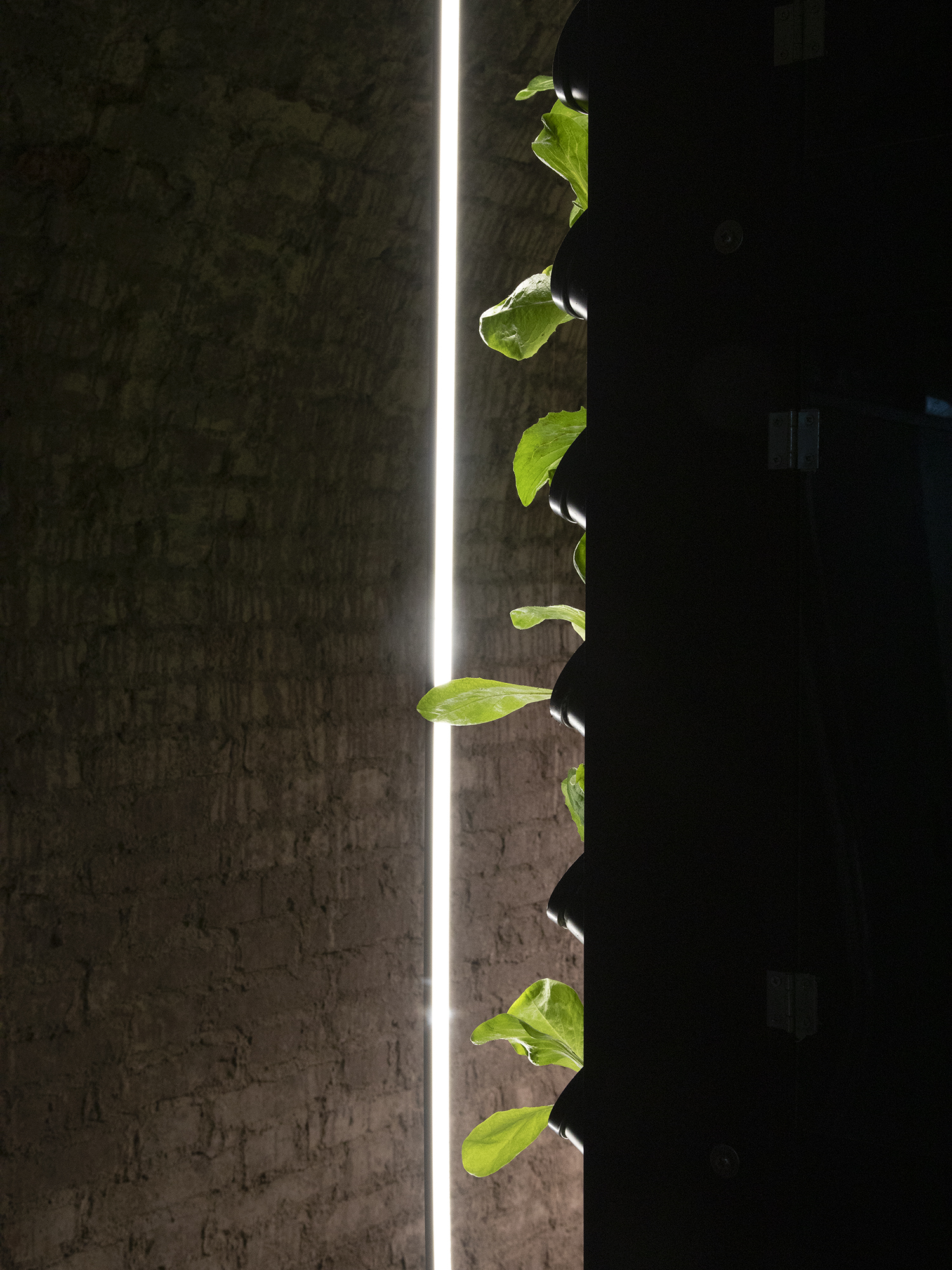 Ph. Pietro Paolini - Progetto "SINE SOLE, SINE SOLO"