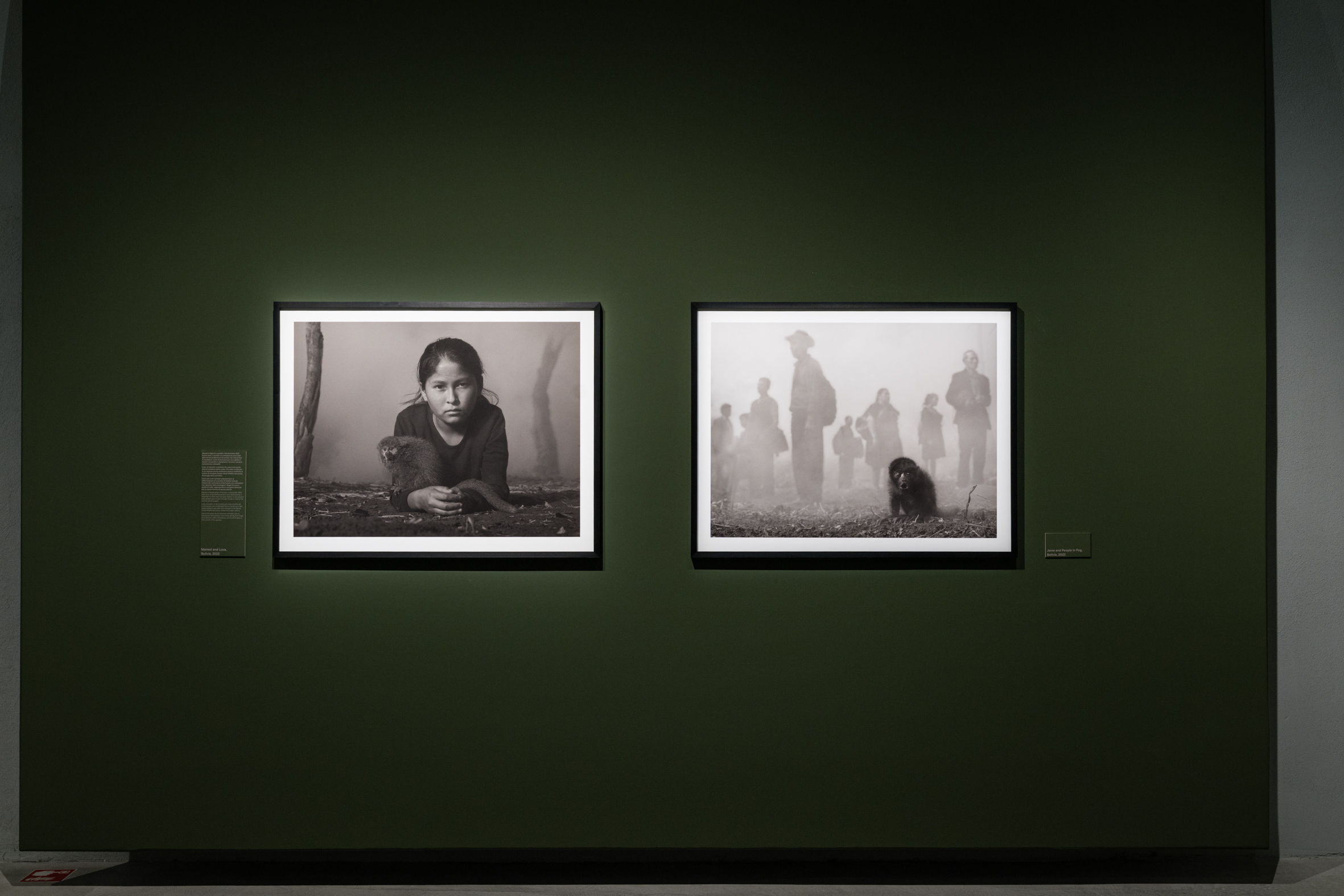 Fotografie della mostra "Nick Brandt. The Day May Break. La luce alla fine del giorno" alle Gallerie d'Italia - Torino