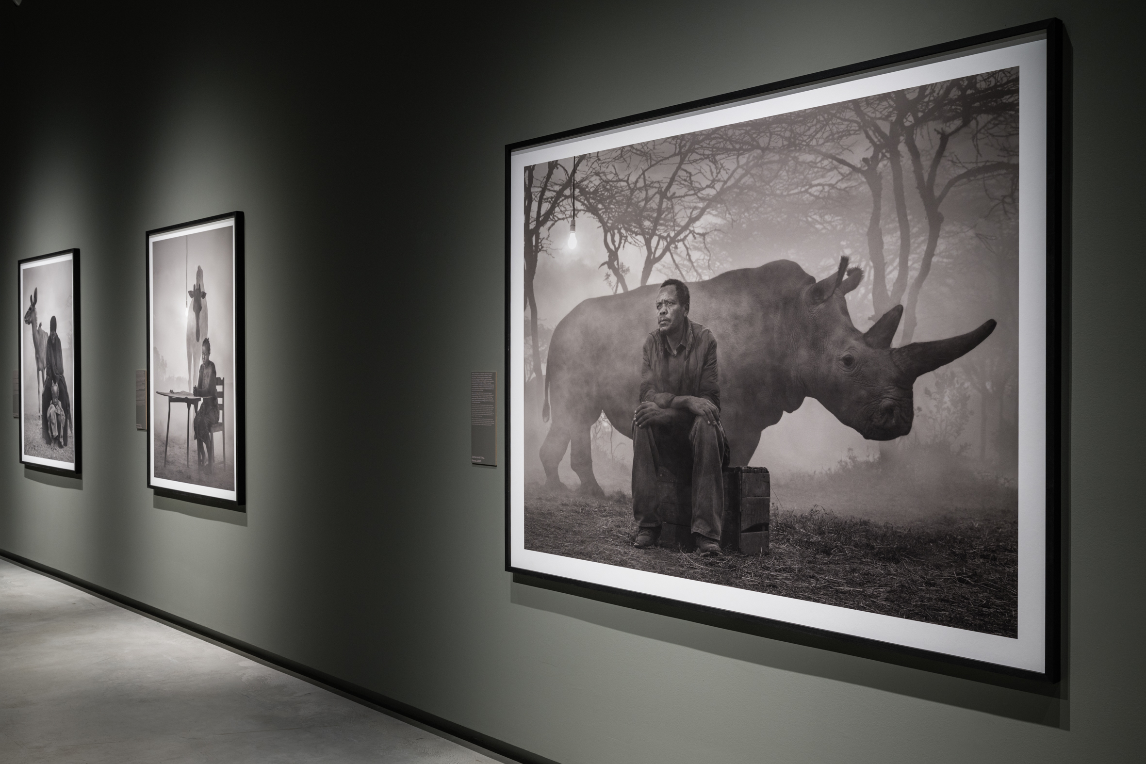 Fotografie della mostra "Nick Brandt. The Day May Break. La luce alla fine del giorno" alle Gallerie d'Italia - Torino