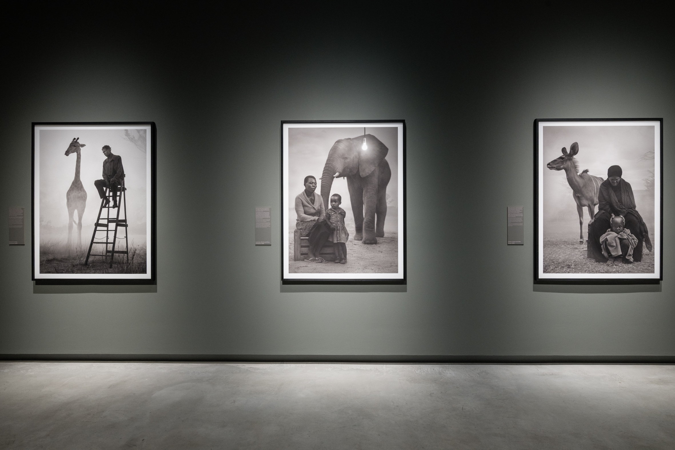 Fotografie della mostra "Nick Brandt. The Day May Break. La luce alla fine del giorno" alle Gallerie d'Italia - Torino