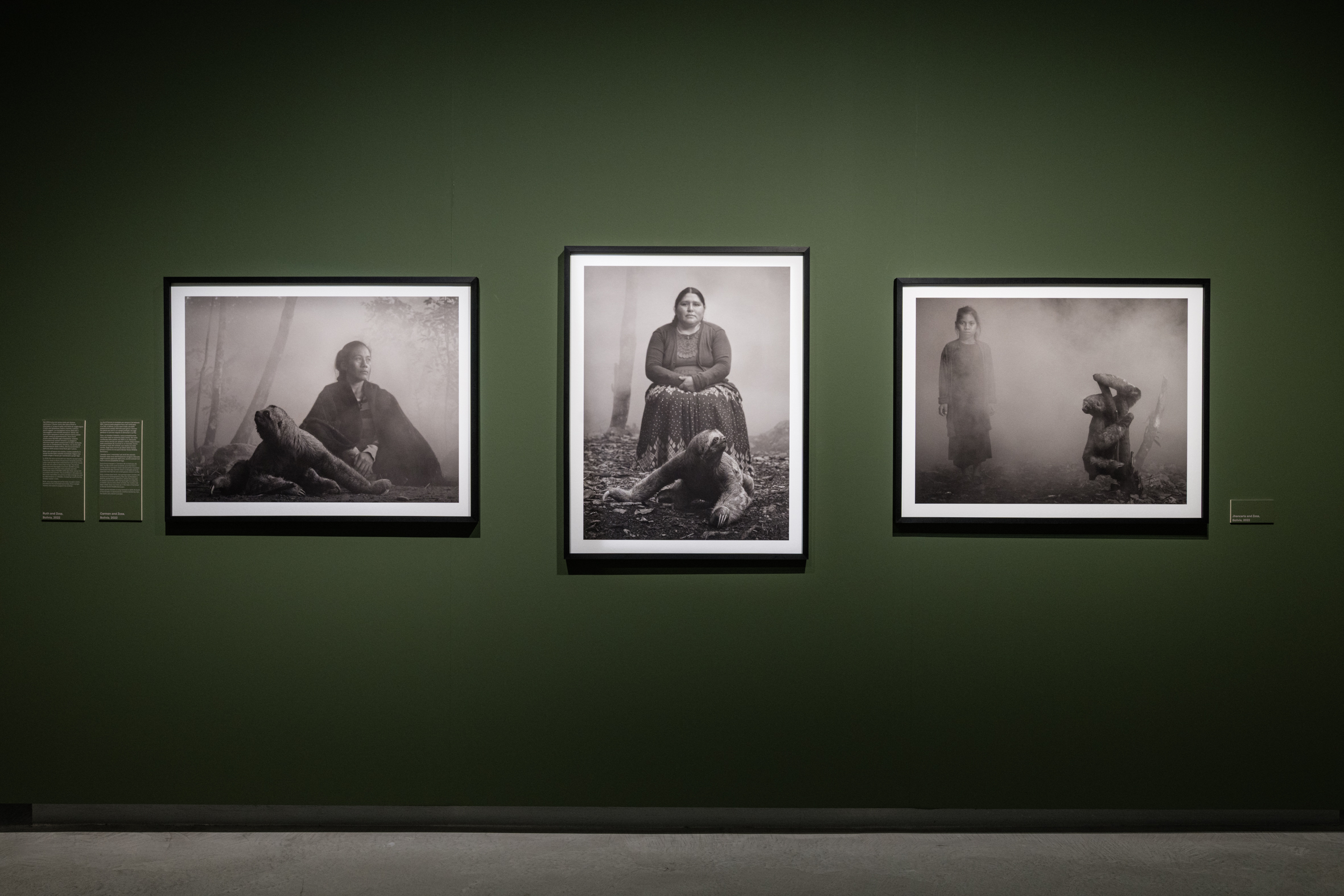 Fotografie della mostra "Nick Brandt. The Day May Break. La luce alla fine del giorno" alle Gallerie d'Italia - Torino