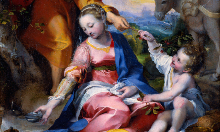 "Barocci. La Madonna delle ciliegie. Un capolavoro dai Musei Vaticani" in mostra a Torino