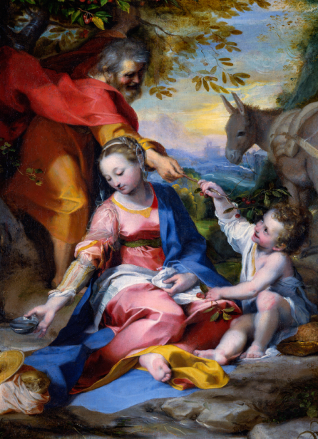 Barocci. La Madonna delle ciliegie. Un capolavoro dai Musei Vaticani., nell'ambito del progetto Ospite Illustre  a Torino