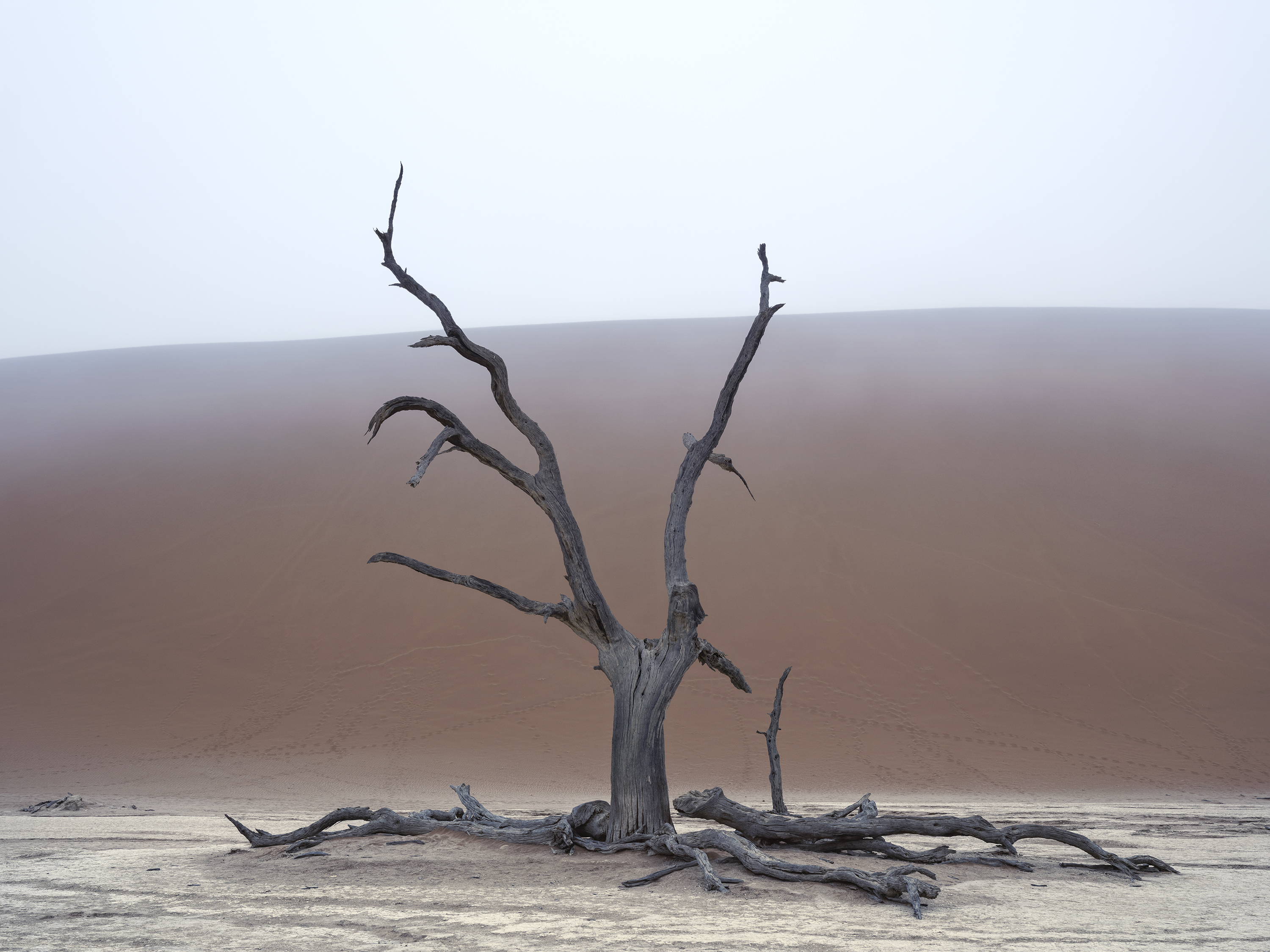 Paolo Pellegrin, Sossusvlei, Parco nazionale di Namib-Naukluft. Namibia
