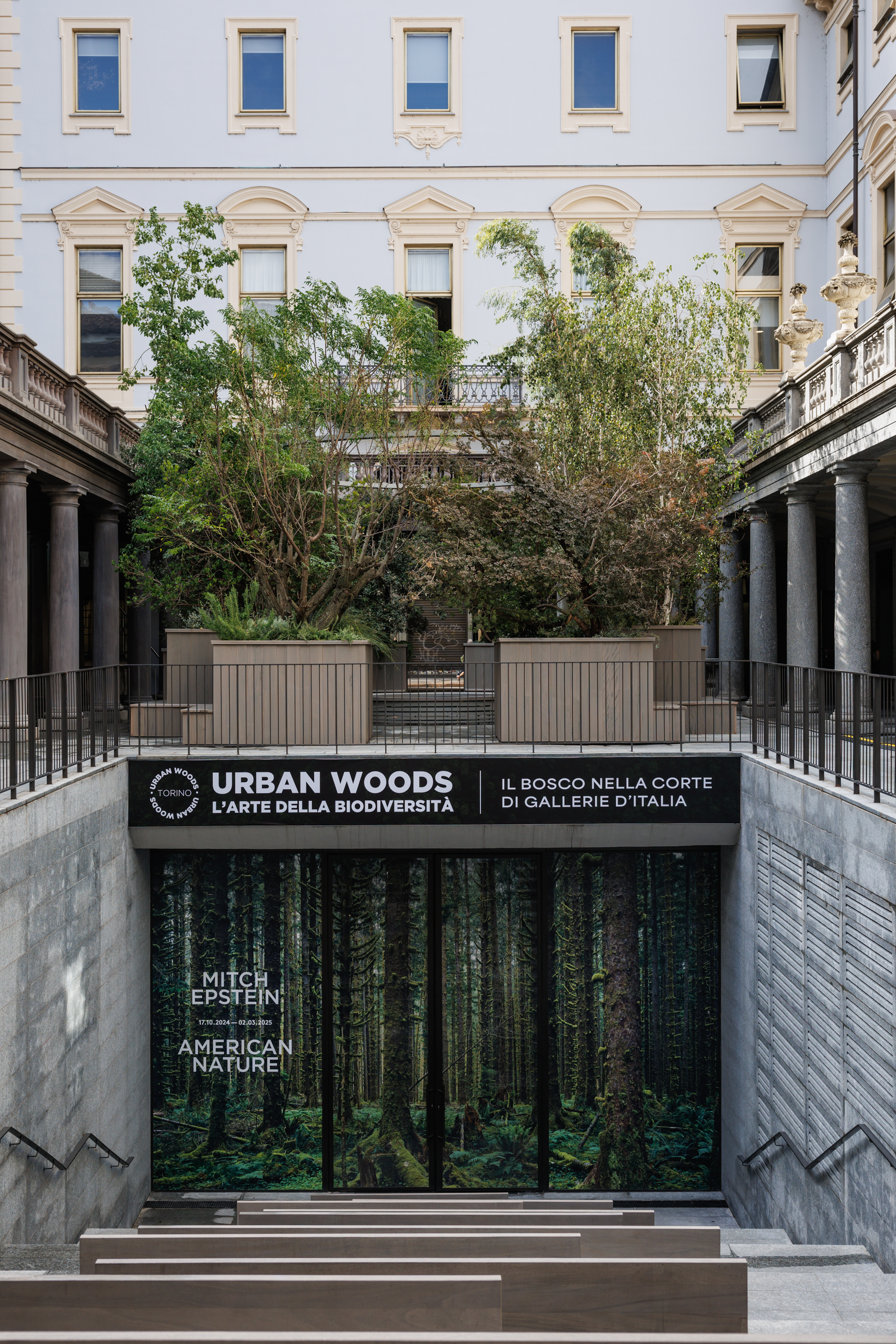 Ph. Giuliano Berti - Urban Woods alle Gallerie d'italia - Torino