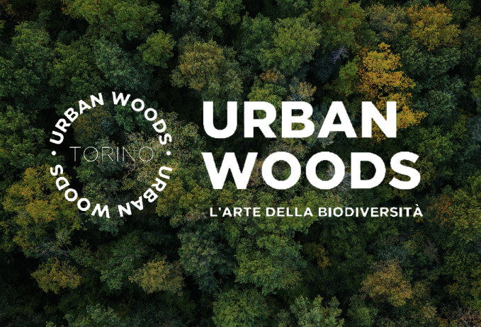 Urban woods